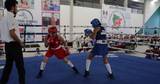 A partir del fin de semana se realizará el Festival Olímpico de Boxeo con participación de 250 peleadores de categoría Juvenil