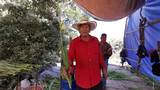 Gladiolas en el campo del oriente de Morelos