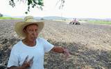 Para el actual ciclo de cultivo primavera-verano, se prevé una siembra de 800 hectáreas de arroz en Morelos