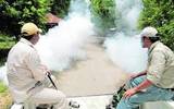 Autoridades incrementaron las acciones de fumigación en los municipios