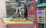 Una trilliza recién nacida en la incubadora de la Unidad de Cuidados Intensivos del Hospital de la Mujer en Yautepec, Morelos