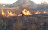 Quemas agrícolas derivan en incendios en Totolapan