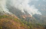 El incendio sigue controlado sólo en un 20 por ciento y ya afectó 180 hectáreas, informó la Coordinación Nacional de Protección Civil